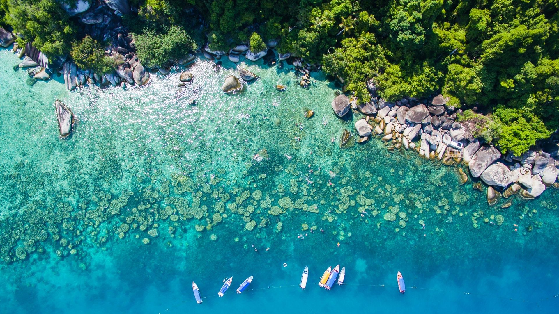 Malaysia & Thaipusam