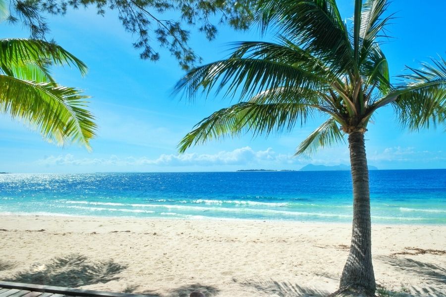 Malaysia & Thaipusam