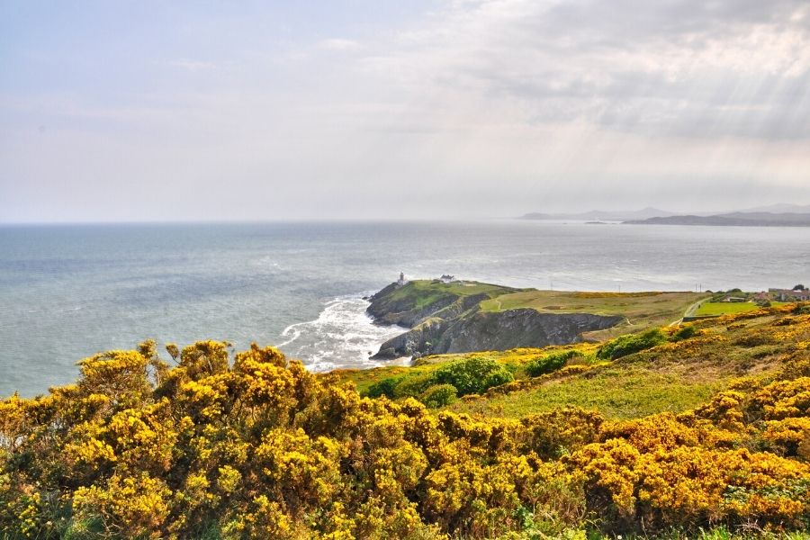 Irlanda Classica