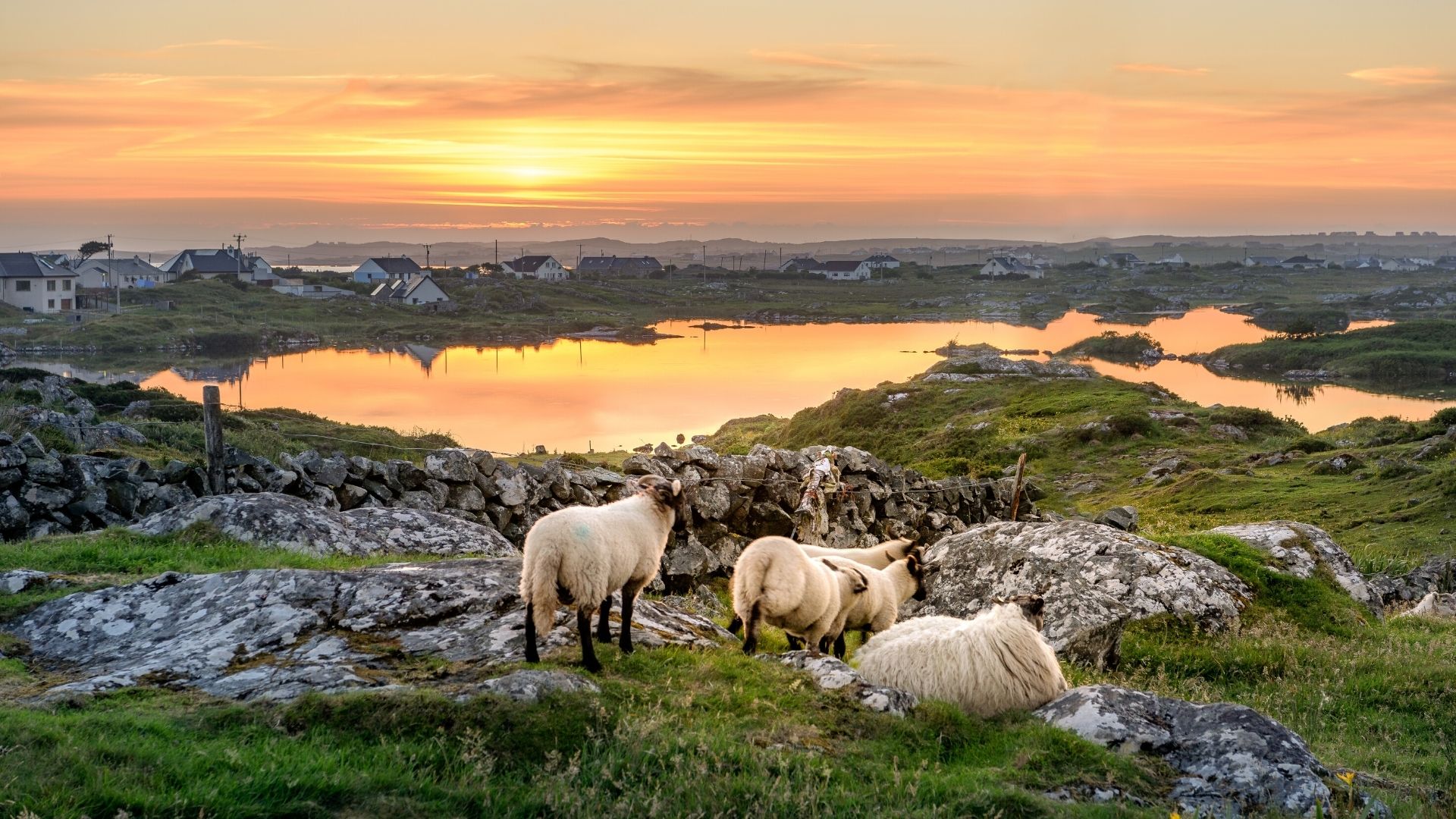 Irlanda Classica